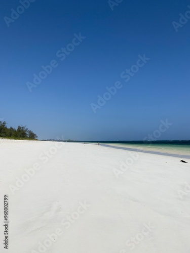 Perfect white sand beach on remote uninhabited island. 