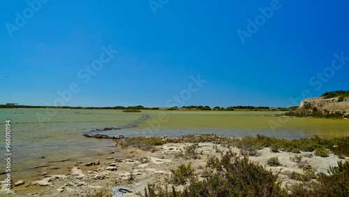 Riserva Naturale Salina Monaci, Torre Colimena,Taranto,Puglia,Italia photo