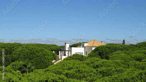 pinheiros mansos, casa Algarve, férias