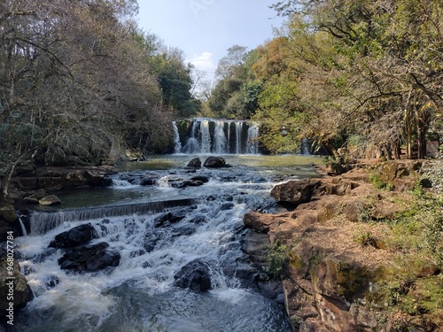 waterfall in the forest