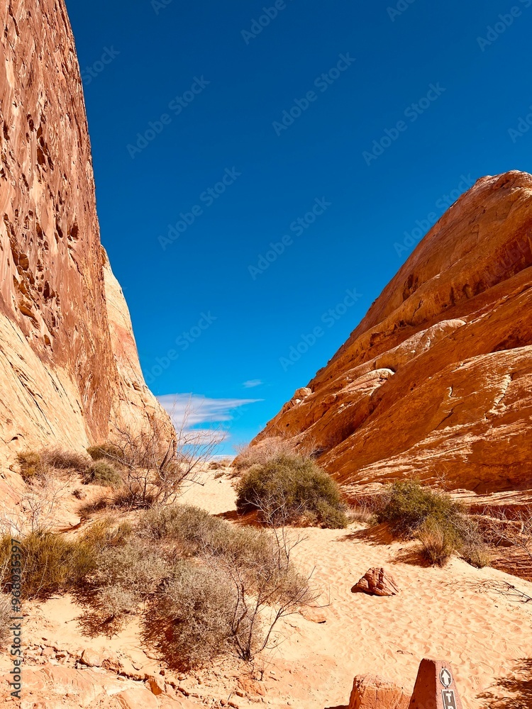 Obraz premium valley