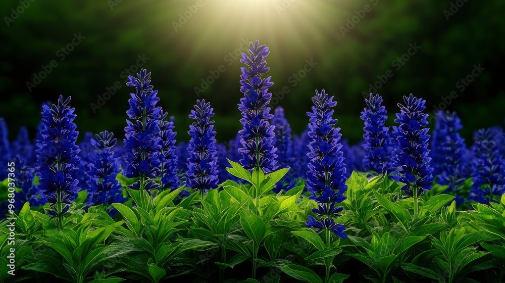 Obraz premium Blue Flowers in a Field of Green