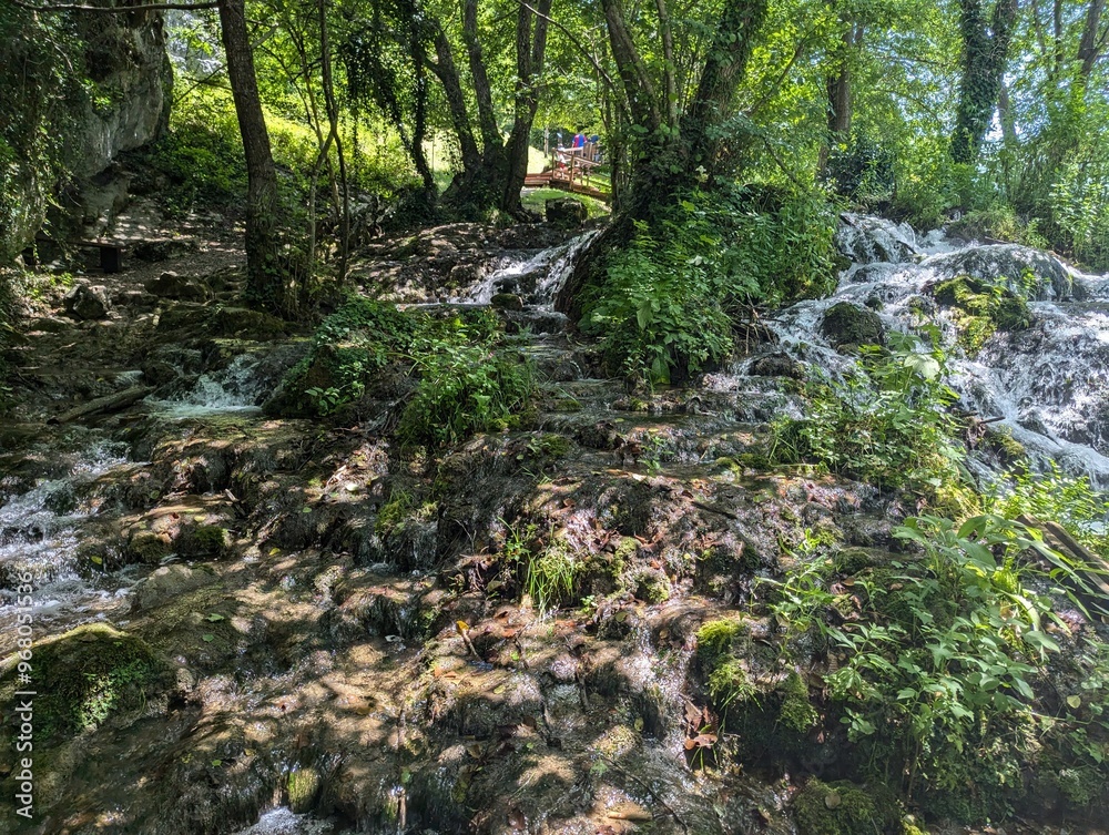 stream in the forest stream in the forest