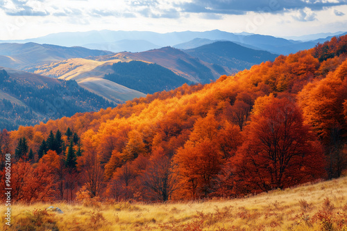 Autumn landscape featuring fall foliage in Burnt Orange, Olive Green, and Rust Red. Earthy tones and seasonal colors for outdoor scenes, showcasing nature, vibrant autumn leaves, and rustic scenery.