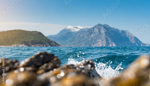 krajobraz z widokiem na morze i skaliste wybrzeże © Monika Janiak-Klicha