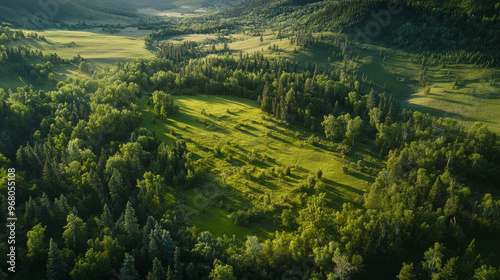 A drone captured a beautiful view of lush green forests and trees in the countryside of Altai.