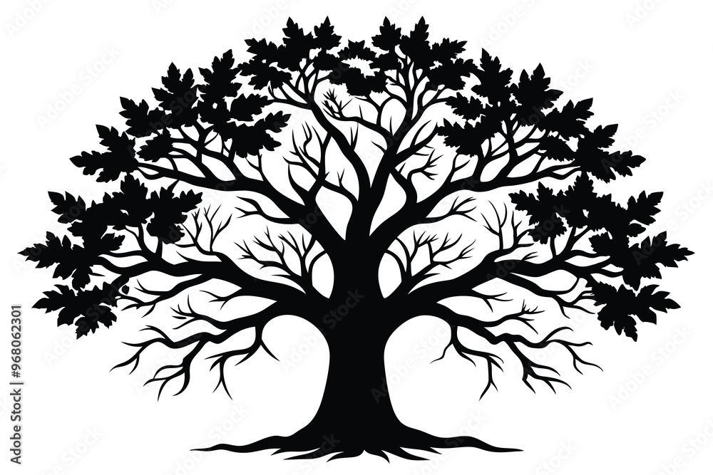 Obraz premium oak tree branches black silhouette A.eps