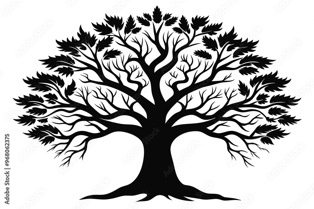 Obraz premium oak tree branches black silhouette G.eps