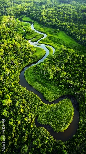 An aerial view of a lush tropical forest with winding rivers and patches of clearings, highlighting the biodiversity of the ecosystem