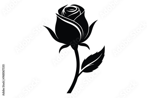 silhouette focusing on a rose bud M.eps
