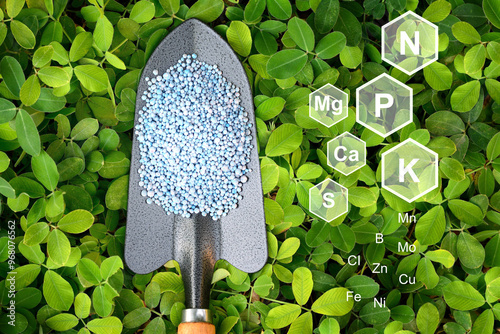 Image of fertilizer with space for entering a description