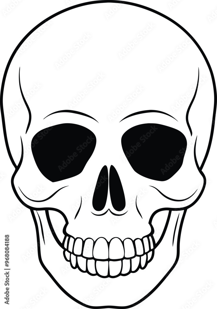 Fototapeta premium Realistic Skull Line Art Silhouette Vector Illustration