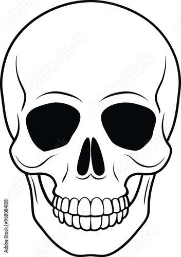 Realistic Skull Line Art Silhouette Vector Illustration