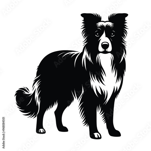 Silhouette of a Border Collie