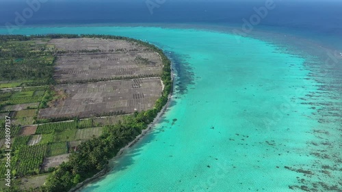 Aerial view of local island with fields, palm trees, beach, and boats, Thoddoo, Maldives. photo