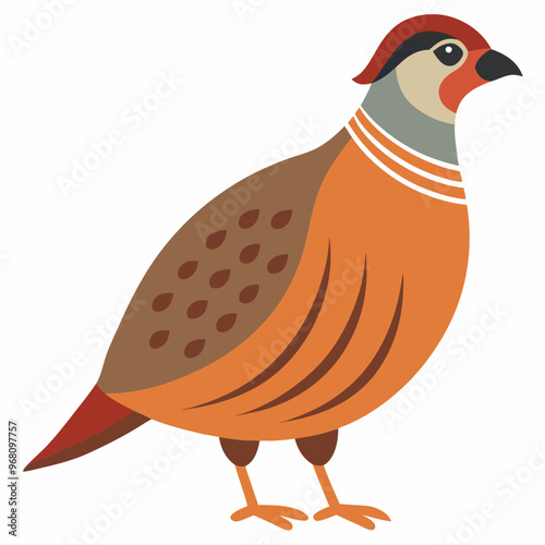 Vector design game bird pheasant