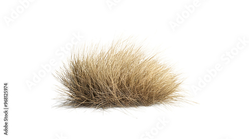 A tumbleweed rolling across the desert landscape, isolated on white background photo