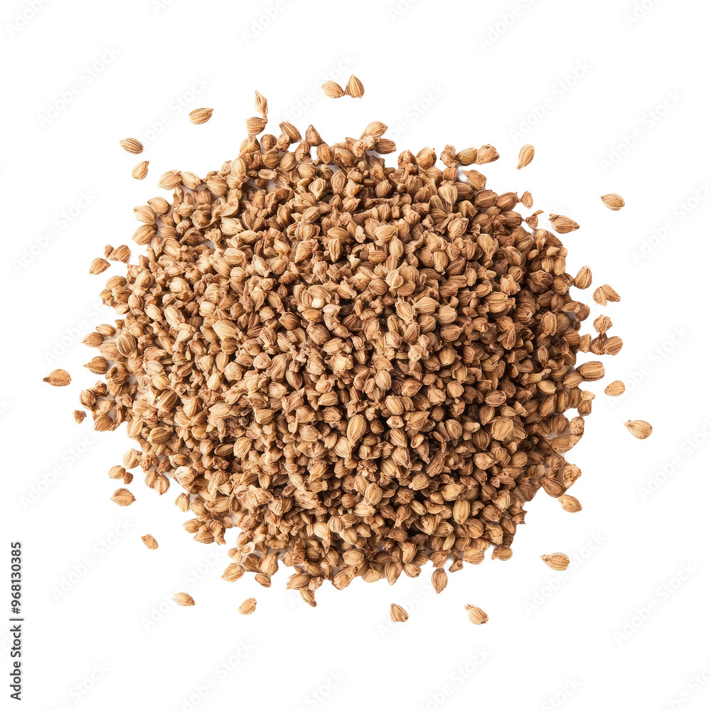 A close-up view of a pile of coriander seeds, isolated on a black background.