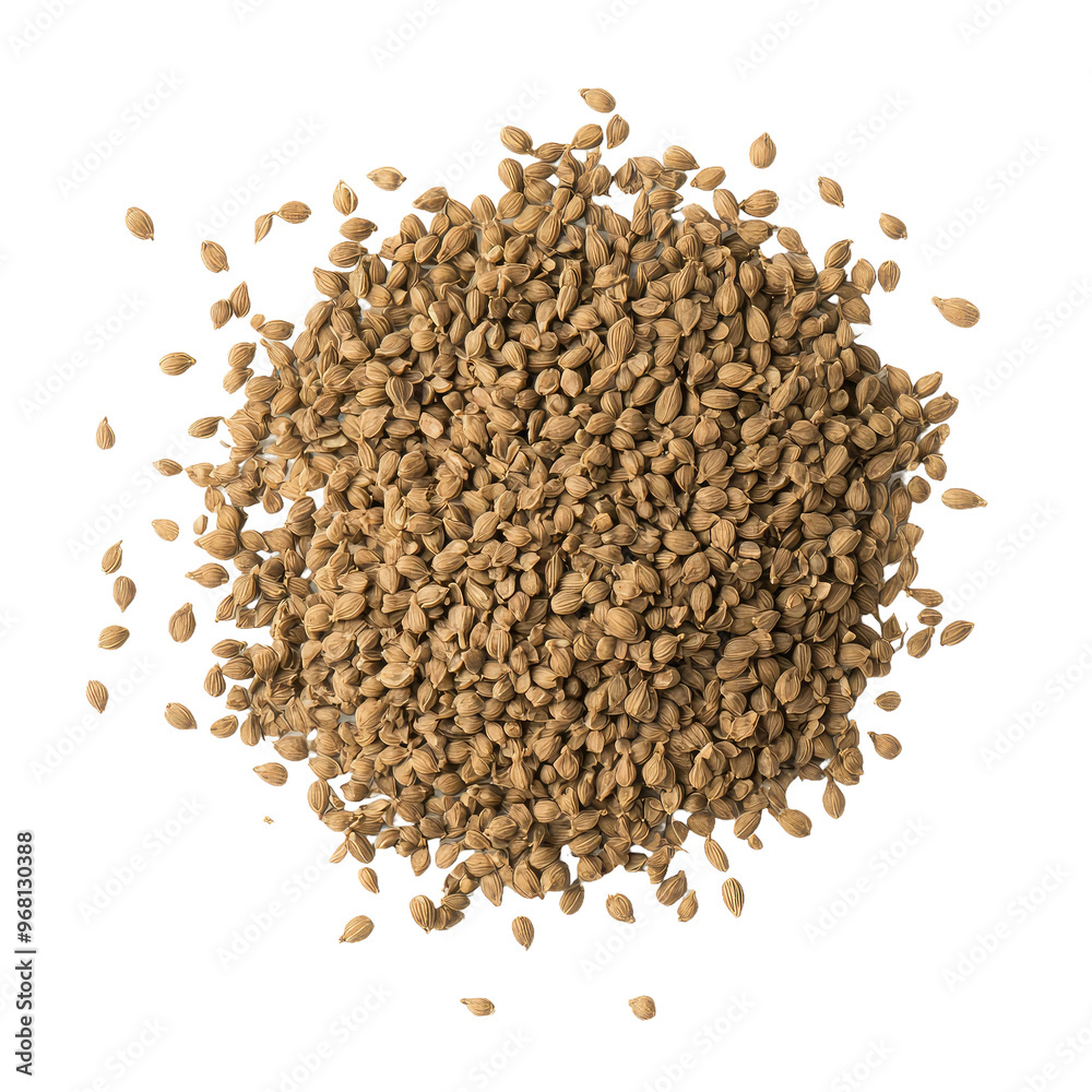 A close-up of a pile of brown coriander seeds. A close-up of a pile of brown coriander seeds.