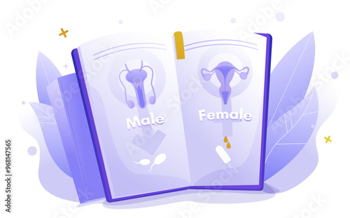 Sexual health information or people advertising poster. Cartoon vector illustration with book of male female reproductive organ anatomy for education and awareness