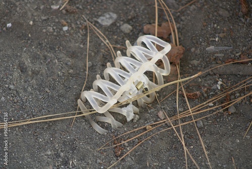 clear hair claw clip in dirt