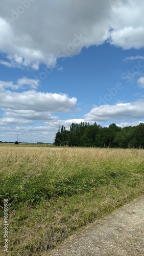 Promenade à Neuvy-en-Sullias Loiret 45