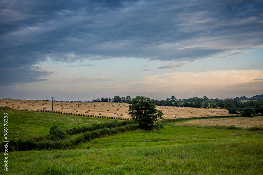 Obraz premium Paysage de campagne Française en Bourgogne-Franche-Comté