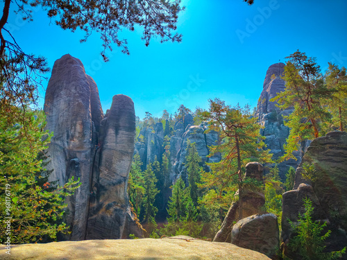 Adršpach Forest view © Dawid