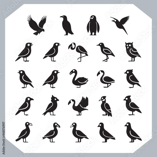 Set of black bird silhouettes and birds collection, bird set design. Eagle, Parrot, Penguin, Owl, Sparrow, Peacock, Flamingo, Hummingbird, Ostrich, Hawk.