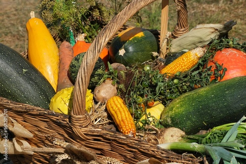 Wicker basket with a variety of colorful vegetables - zucchini, pumpkin, corn photo