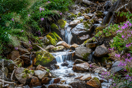falling water