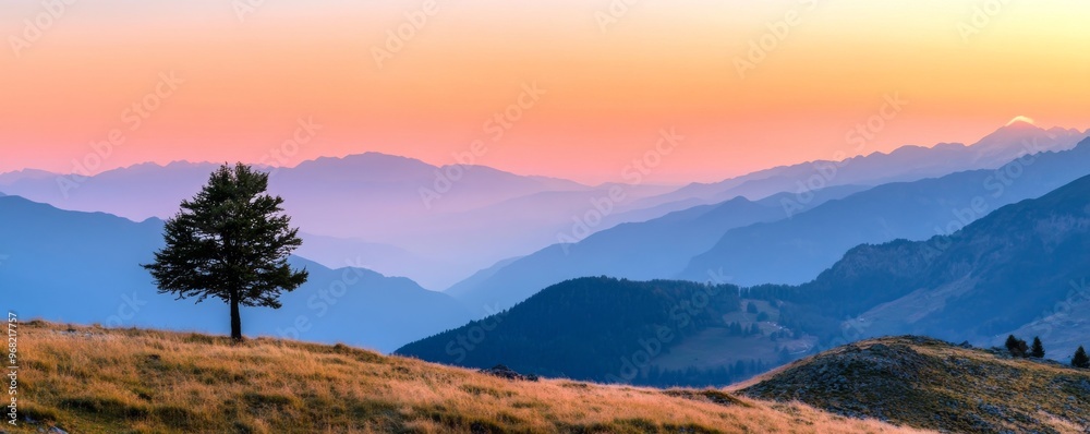 Obraz premium Solitary tree on mountainside at sunrise, panoramic view. Tranquil nature and serenity concept