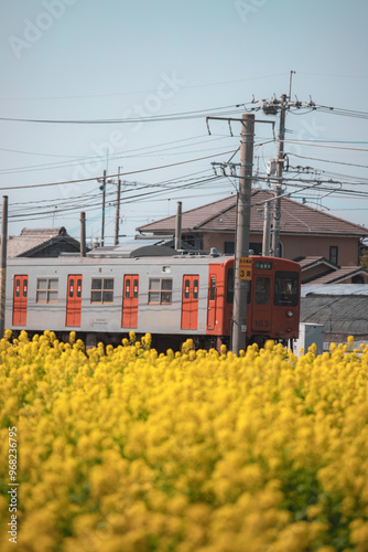 train in the park