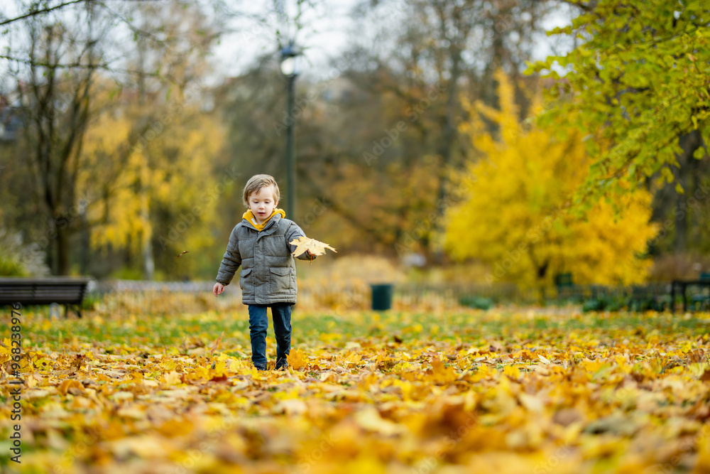 Cute little boy playing outdoors on sunny autumn day. Child exploring nature. Fall activities for kids. Cute little boy playing outdoors on sunny autumn day. Child exploring nature. Fall activities for kids.