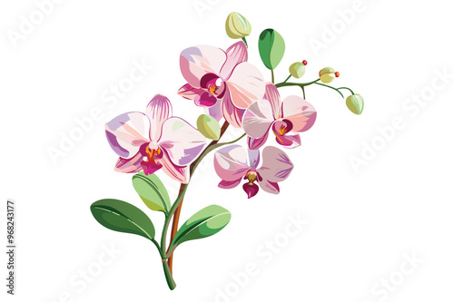 Watercolor orchid flower hand-drawn branch vector illustration