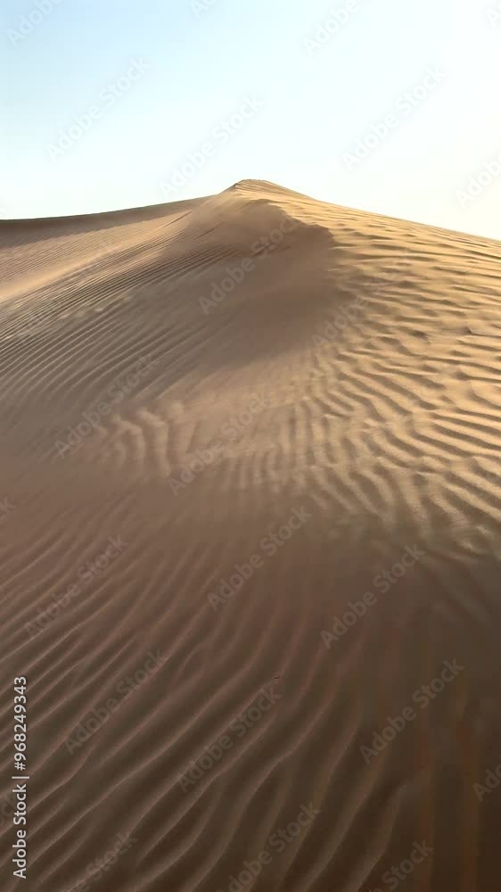 Desert comes alive in evening as setting sun bathes dunes in gold, orange shades. Long shadows dance across sand, creating calm, dramatic scene that shows peaceful, natural beauty of desert.