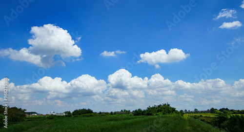 草原と白い雲