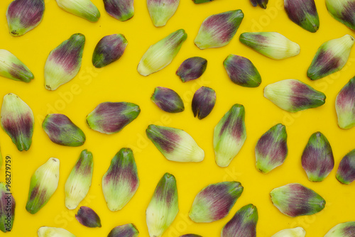 Artichoke petals on yellow background.