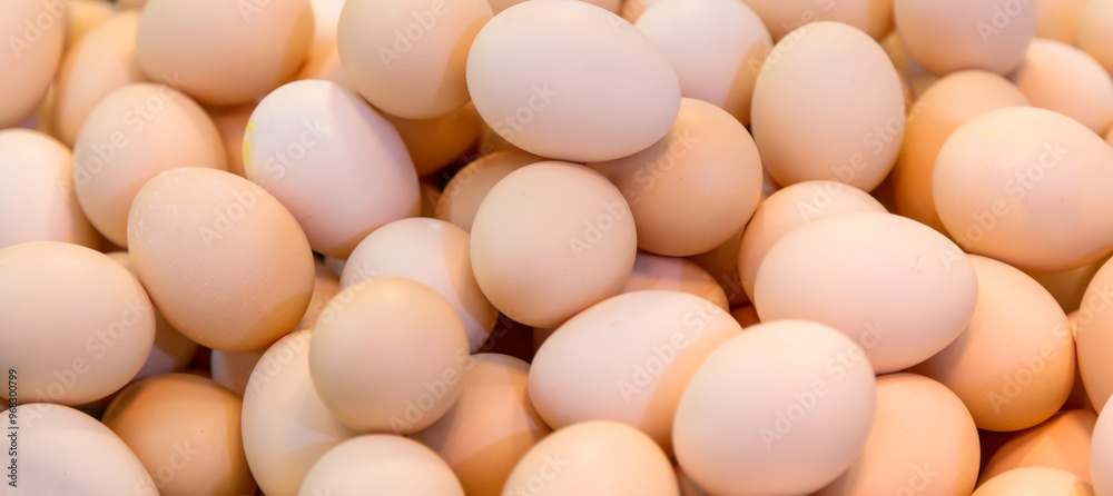 Chicken eggs as a background. Banner wide format Chicken eggs as a background. Banner wide format