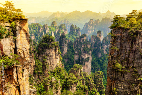 Zhangjiajie National park. Famous tourist attraction in Wulingyuan, Hunan, China. Amazing natural landscape with stone pillars quartz mountains during sunset photo