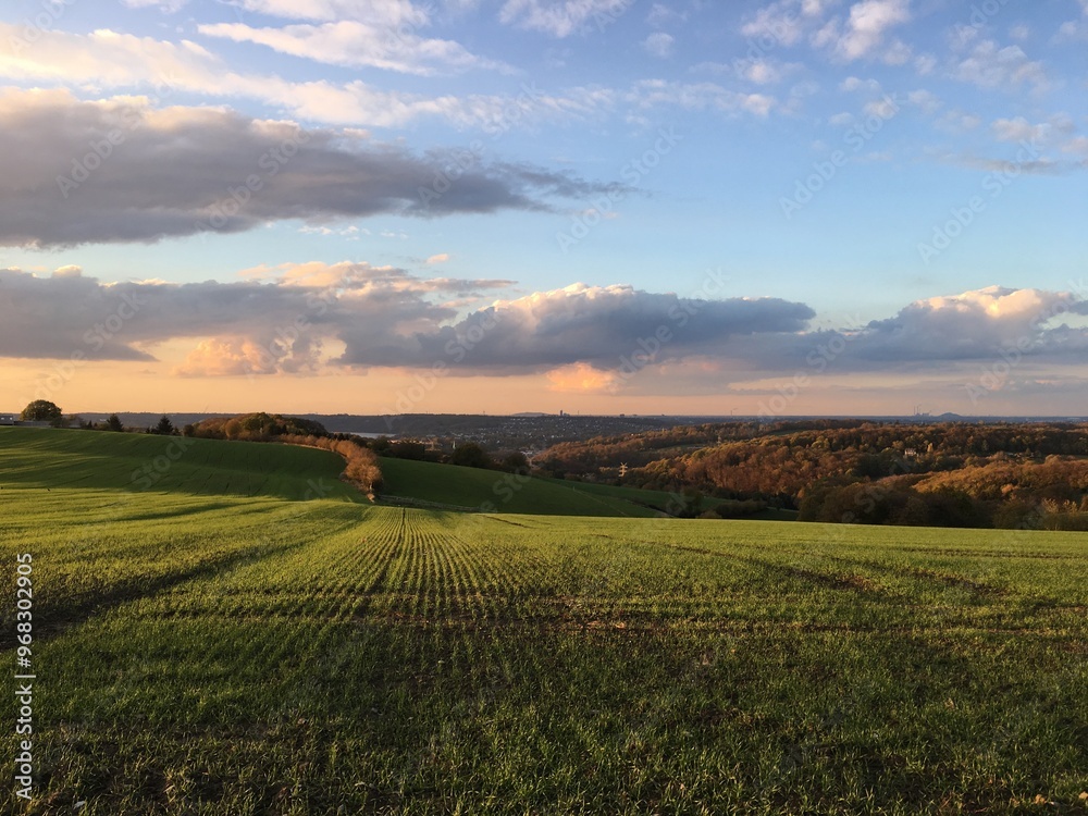 Obraz premium sunset over the field