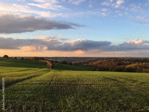 sunset over the field