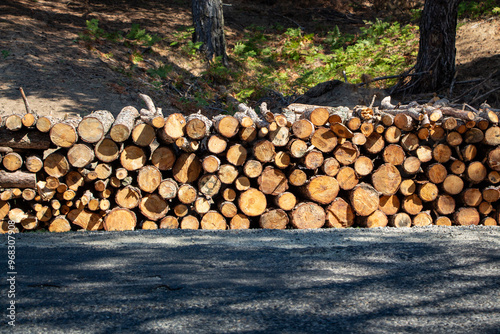 Pile of chopped firewood in forest. Firewood stacked on top of each other. Pile of sawn tree trunks on the road, ready for winter. Woodpile of cut tree trunks in pine forest. 