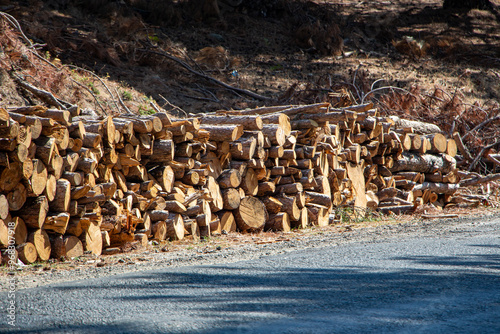Pile of chopped firewood in forest. Firewood stacked on top of each other. Pile of sawn tree trunks on the road, ready for winter. Woodpile of cut tree trunks in pine forest. 