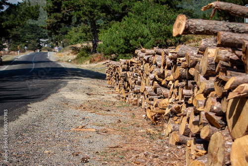 Pile of chopped firewood in forest. Firewood stacked on top of each other. Pile of sawn tree trunks on the road, ready for winter. Woodpile of cut tree trunks in pine forest. 