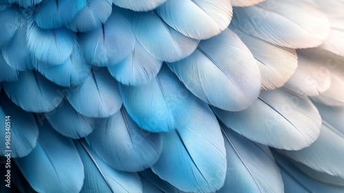Close-Up of Soft Blue Bird Feathers with Fine Texture