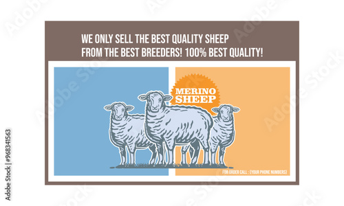 GREAT BANNER FOR MERINO FARM LOGO, silhouette of healthy ram in farm vector illustrations