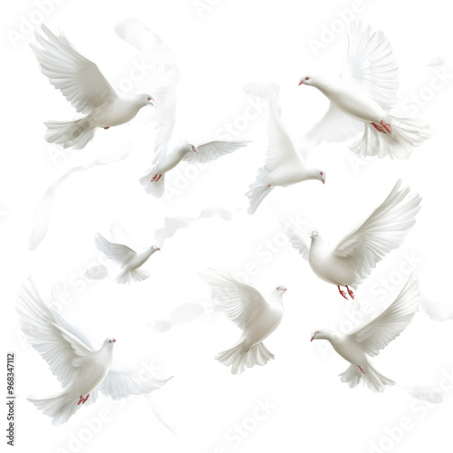 A group of white birds flying in the sky photo