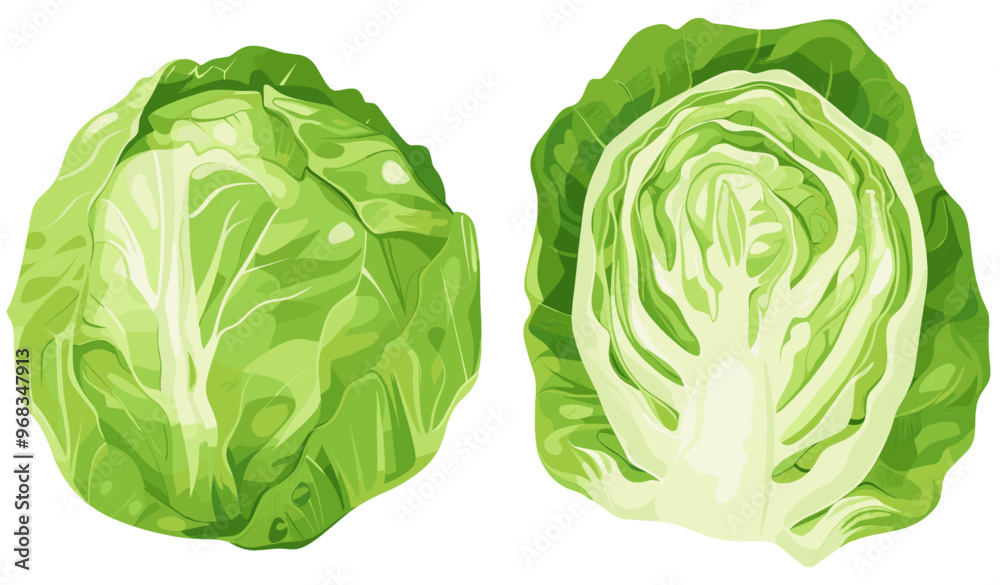 Fototapeta premium Fresh green lettuce flat design illustration