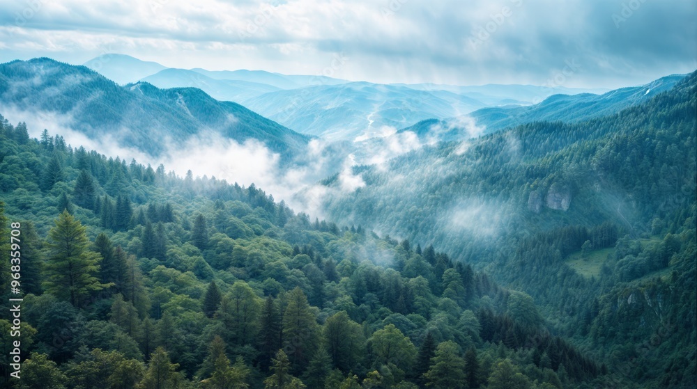 A lush green forest shrouded in mist, with scenic layers of mountain ridges fading into the distance, creating a peaceful nature view.. A lush green forest shrouded in mist, with scenic layers of mountain ridges fading into the distance, creating a peaceful nature view..